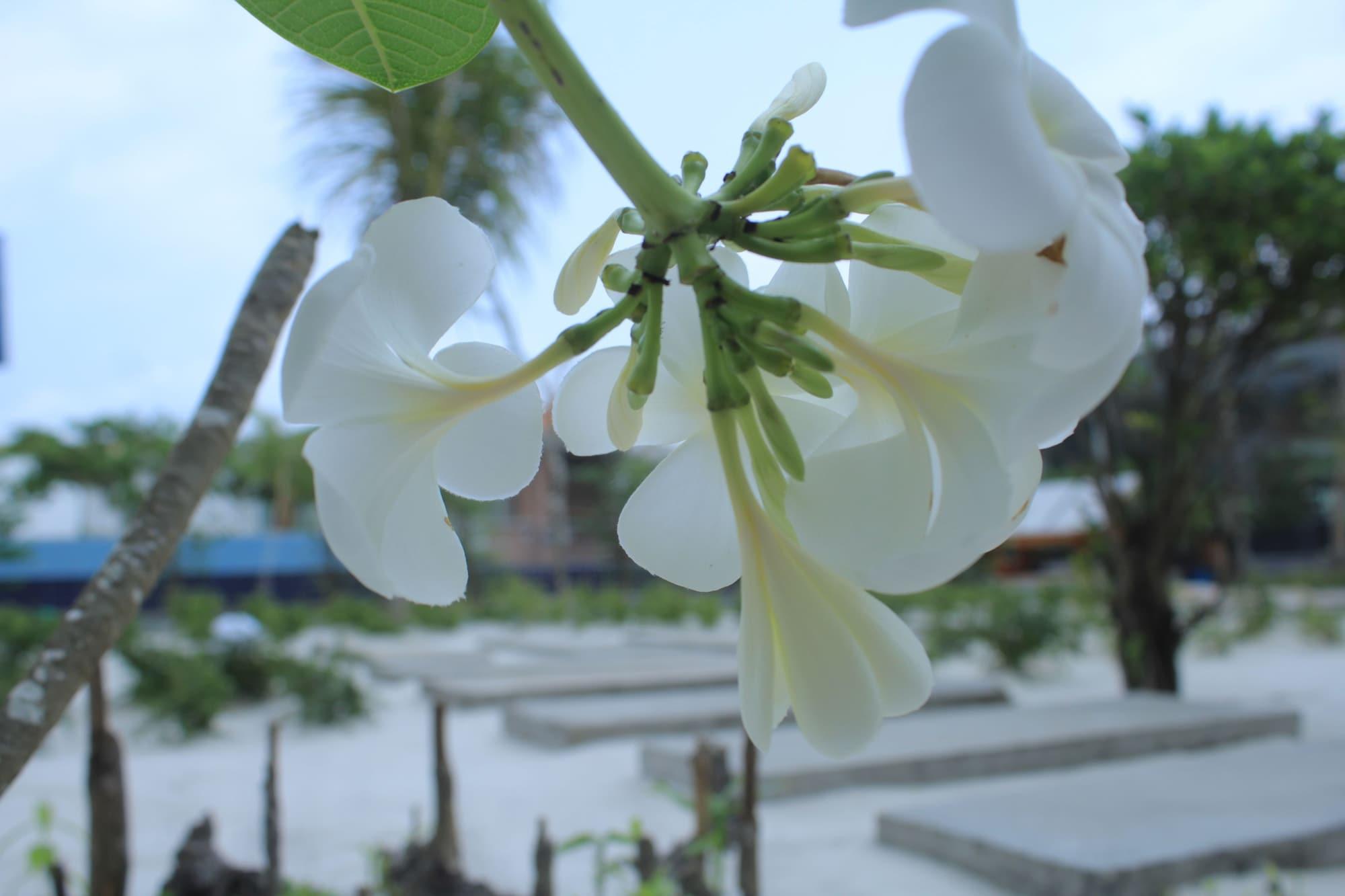 Long Set Resort Kaoh Touch Exterior photo